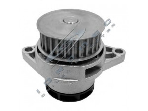 CAR 330519 vandens siurblys 
 Aušinimo sistema -> Vandens siurblys/tarpiklis -> Vandens siurblys
030121005D, 030121005N, 030121005NV