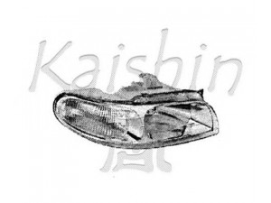 KAISHIN 96190591 kėbulas 
 Kėbulas -> Visa schema, automobilio kėbulo dalys
96190591, 96212024