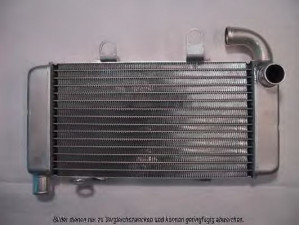 AKS DASIS 500250N radiatorius, variklio aušinimas