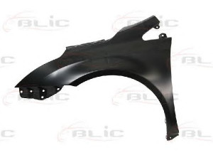 BLIC 6504-04-8183311P sparnas 
 Kėbulas -> Transporto priemonės priekis -> Sparnas/montavimo dalys
53802-05020