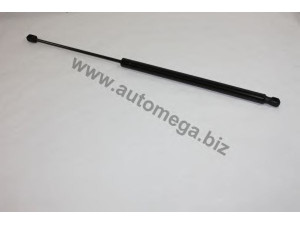 AUTOMEGA 30107290322 dujinė spyruoklė, bagažinė
1729322