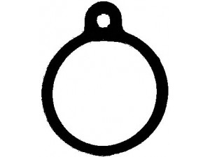 ELRING 278.122 tarpiklis, termostatas 
 Variklis -> Tarpikliai -> Sandarikliai, aušinimo sistema
617 203 01 80