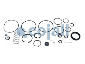 COJALI 6012081 remonto komplektas, greitinimo vožtuvas