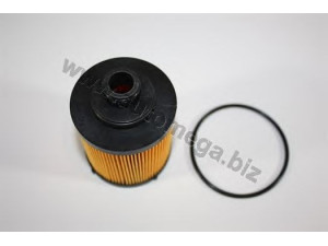 AUTOMEGA 30105650249 alyvos filtras 
 Techninės priežiūros dalys -> Techninės priežiūros intervalai
1565249