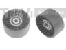 TREVI AUTOMOTIVE TA1077 kreipiantysis skriemulys, V formos rumbuotas diržas 
 Diržinė pavara -> V formos rumbuotas diržas/komplektas -> Laisvasis/kreipiamasis skriemulys
0005500033, A0005500033