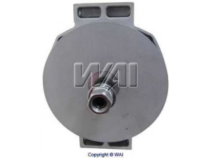 WAIglobal 8609N kintamosios srovės generatorius
3675218RX, 3675221RX