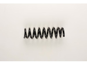 BILSTEIN 36-160419 spyruoklė 
 Pakaba -> Spyruoklės
33 53 6 767 341, 6 767 341
