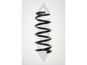 SPIDAN 55478 spyruoklė 
 Pakaba -> Spyruoklės
52441-S5A-A81