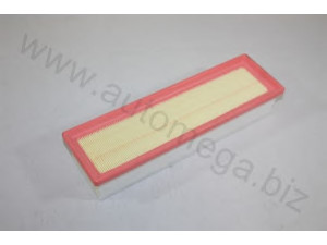 AUTOMEGA 3016540694066R oro filtras
165469466R, 165469466R