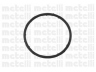 CIFAM 824-765 vandens siurblys 
 Aušinimo sistema -> Vandens siurblys/tarpiklis -> Vandens siurblys
036 121 005F, 036 121 005P, 036 121 008G