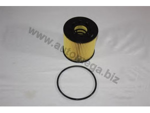 AUTOMEGA 3044150941 alyvos filtras 
 Techninės priežiūros dalys -> Techninės priežiūros intervalai
4415941, 4415941, 4415941, 93184133