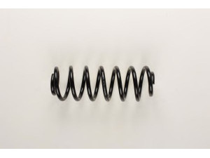 BILSTEIN 36-147779 spyruoklė
8P0 511 115 D