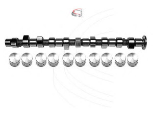 CAMPRO CP61920 skirstomojo veleno komplektas 
 Variklis -> Variklio uždegimo laiko reguliavimo kontrolė -> Skirstomasis velenas
602 050 1301