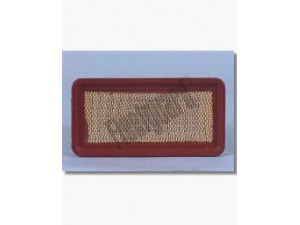 FLEETGUARD AF4959 oro filtras 
 Filtrai -> Oro filtras
25098522, 1780164010, 1780164070