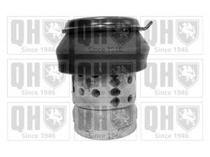QUINTON HAZELL EM2421 variklio montavimas; montavimas, automatinė transmisija; montavimas, neautomatinė transmisija 
 Variklis -> Variklio montavimas -> Variklio montavimo rėmas
1H0 199 609E
