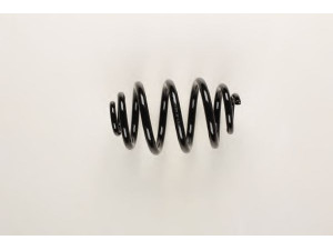 BILSTEIN 38-131257 spyruoklė 
 Pakaba -> Spyruoklės
1065400, 7378778, 95 VW 5560 AF