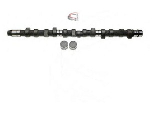 CAMPRO CP60210 skirstomojo veleno komplektas 
 Variklis -> Variklio uždegimo laiko reguliavimo kontrolė -> Skirstomasis velenas
075 109 101 C