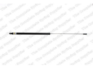 ROC GS0384 dujinė spyruoklė, bagažinė 
 Priedai -> Bagažinė/pakrovimo skyrius
9253964