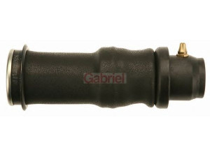 GABRIEL 9025AB gofruotoji membrana, vairuotojo kabinos pakaba
1314278, 1348121