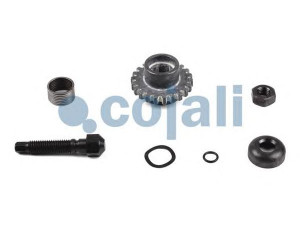 COJALI 6086521 remonto komplektas, stabdžių apkaba
LRG525*P, LRG622*P