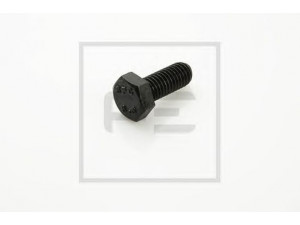 PE Automotive 066.025-00A varžtas
4 343 1003 88