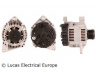 LUCAS ELECTRICAL LRA01973 kintamosios srovės generatorius 
 Elektros įranga -> Kint. sr. generatorius/dalys -> Kintamosios srovės generatorius
8200064685