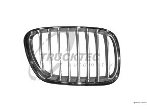 TRUCKTEC AUTOMOTIVE 08.62.345 radiatorius grotelės
51 13 8 250 052