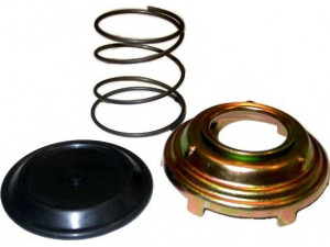 HOFFER 8029064 įpurškimo sistema