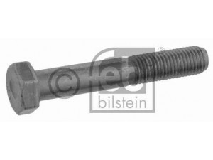 FEBI BILSTEIN 01696 varžtas
000960 012391