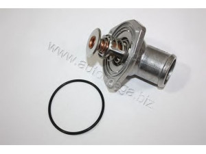 AUTOMEGA 3013380060 termostatas, aušinimo skystis
1338060, 90352677