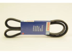 KLAXCAR FRANCE 60325s V formos diržas
0067671, 0211749, 0289842, 0396574