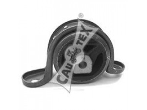 CAUTEX 480118 variklio montavimas 
 Variklis -> Variklio montavimas -> Variklio montavimo rėmas
0642007, 0684646, 90372425, 90495327