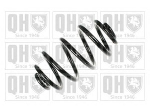 QUINTON HAZELL QCS8170 spyruoklė 
 Pakaba -> Spyruoklės
4B0 511 115 AL