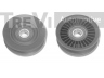 TREVI AUTOMOTIVE TA1418 kreipiantysis skriemulys, V formos rumbuotas diržas