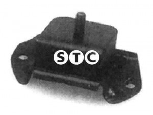 STC T400248 variklio montavimas 
 Variklis -> Variklio montavimas -> Variklio montavimo rėmas
7700504590, 7701349081