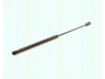 dujinė spyruoklė, bagažinė