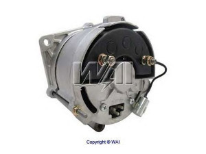 WAIglobal 13001R kintamosios srovės generatorius
1271500750