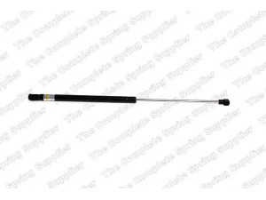 ROC GS1176 dujinė spyruoklė, bagažinė 
 Priedai -> Bagažinė/pakrovimo skyrius
1P0827550