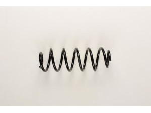 BILSTEIN 36-134113 spyruoklė 
 Pakaba -> Spyruoklės
1J0 511 115 AP