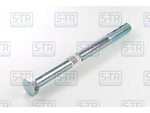 S-TR STR-4M24X300 lingės varžtas