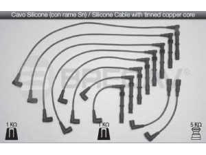 BRECAV 02.529 uždegimo laido komplektas