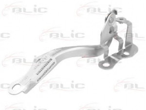 BLIC 6802-00-8155452P lankstas, gaubtas 
 Kėbulas -> Transporto priemonės galas -> Gaubtas/dalys/garso izoliacinė medžiaga
5341052180