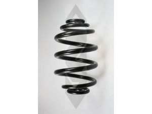 SPIDAN 49164 spyruoklė 
 Pakaba -> Spyruoklės
33 53 9 066 882