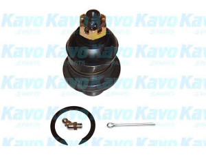 KAVO PARTS SBJ-5502 atramos/vairo trauklė 
 Ašies montavimas/vairavimo mechanizmas/ratai -> Sujungimai -> Atramos/vairo trauklė
545104315201, 545404315201, MB527383