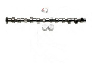 CAMPRO CP61921 skirstomojo veleno komplektas 
 Variklis -> Variklio uždegimo laiko reguliavimo kontrolė -> Skirstomasis velenas
603 050 0701