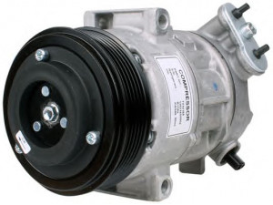 PowerMax 7010185 kompresorius, oro kondicionierius 
 Oro kondicionavimas -> Kompresorius/dalys
1537745, 1607883080, 4709128, 51803075