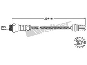 WALKER PRODUCTS 250-241038 lambda jutiklis 
 Išmetimo sistema -> Jutiklis/zondas
11787537995