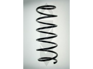 SPIDAN 49254 spyruoklė 
 Pakaba -> Spyruoklės
31 33 1 133 337