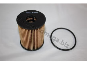 AUTOMEGA 1256500342 alyvos filtras 
 Techninės priežiūros dalys -> Techninės priežiūros intervalai
5650342, 5650342, 5650342