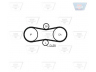 OPTIBELT ZRK 1238 paskirstymo diržas 
 Techninės priežiūros dalys -> Papildomas remontas
074130113E, 9179393, 9202398, 074130113E
